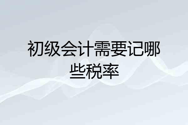 初级会计需要记哪些税率