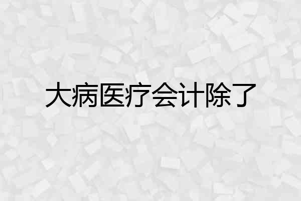 大病医疗会计除了