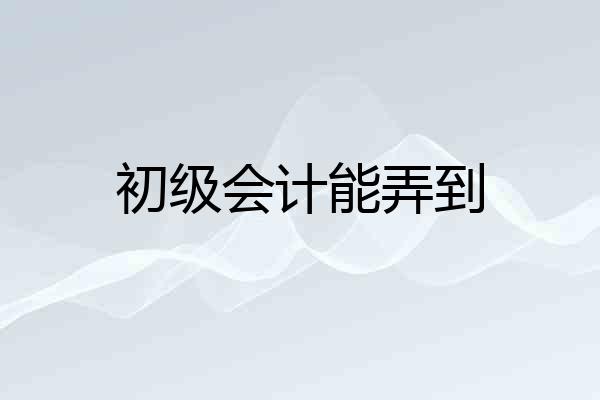初级会计能弄到