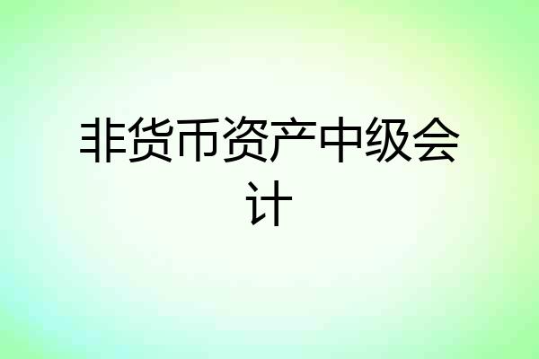 非货币资产中级会计