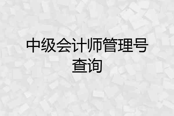 中级会计师管理号查询
