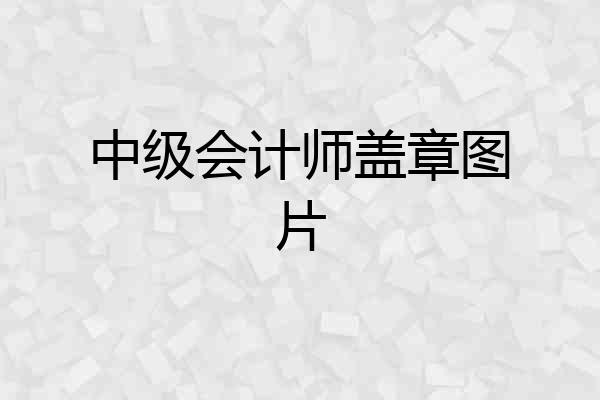 中级会计师盖章图片