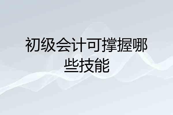 初级会计可撑握哪些技能