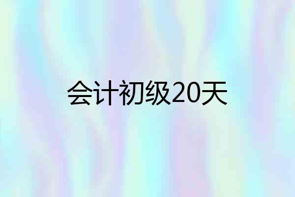 会计初级20天