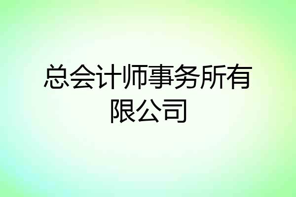 总会计师事务所有限公司