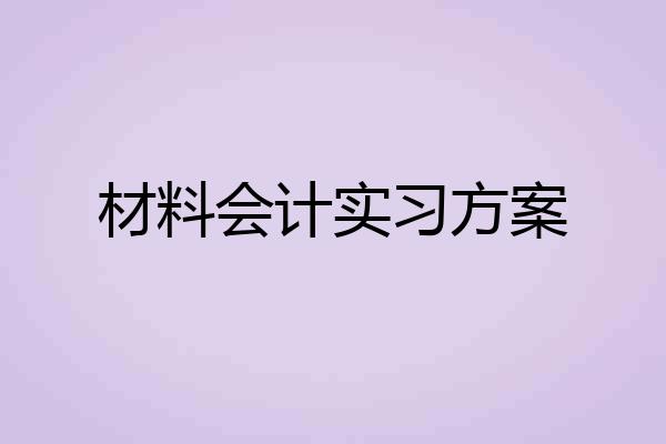 材料会计实习方案