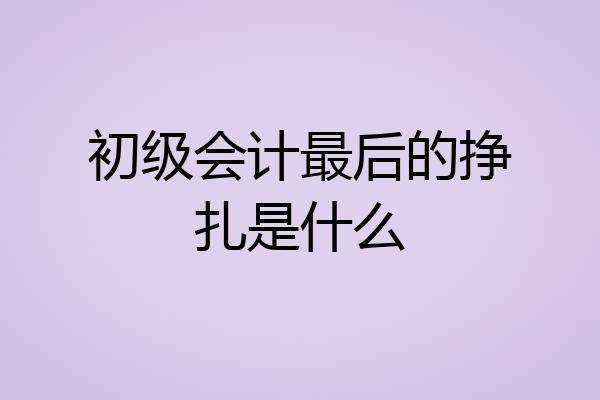 初级会计最后的挣扎是什么