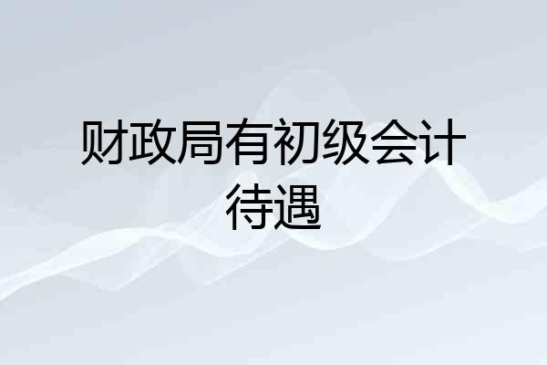 财政局有初级会计待遇