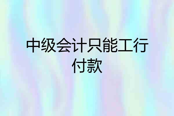 中级会计只能工行付款