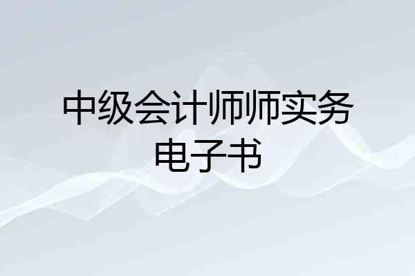 中级会计师师实务电子书