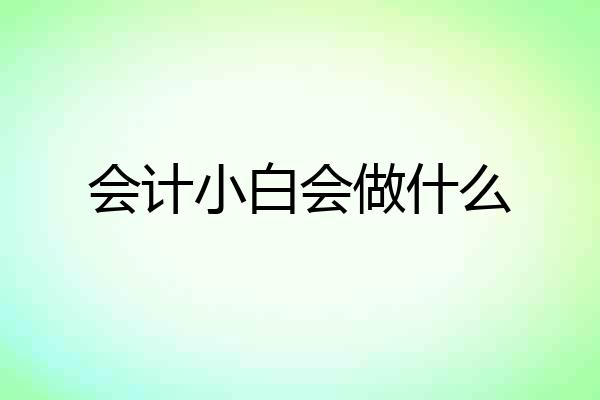 会计小白会做什么