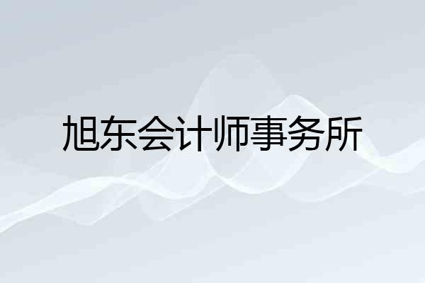 旭东会计师事务所