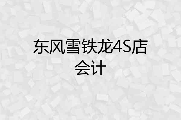 东风雪铁龙4S店会计