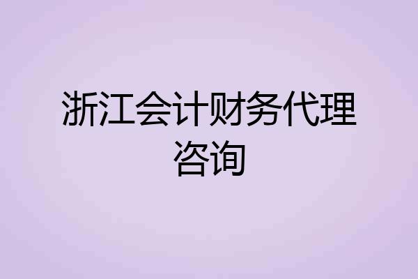 浙江会计财务代理咨询