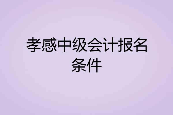 孝感中级会计报名条件