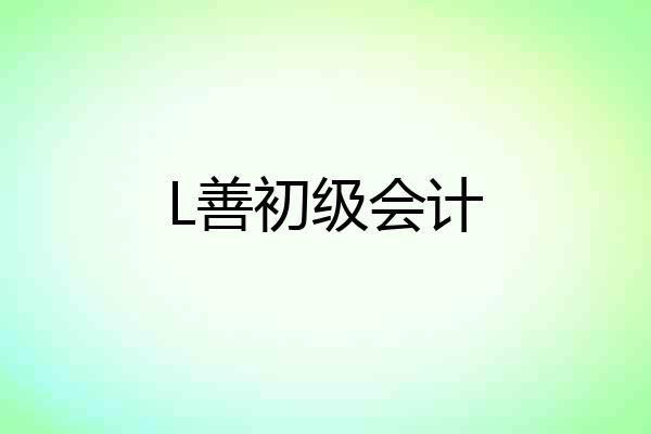L善初级会计