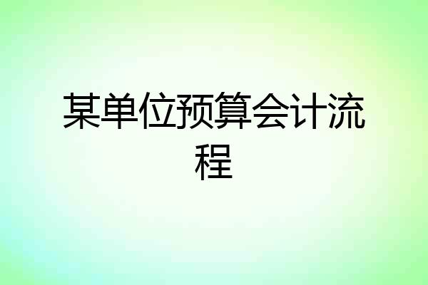 某单位预算会计流程