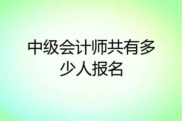 中级会计师共有多少人报名