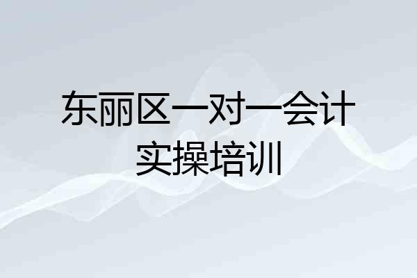 东丽区一对一会计实操培训