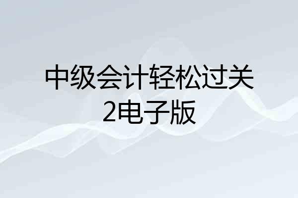 中级会计轻松过关2电子版