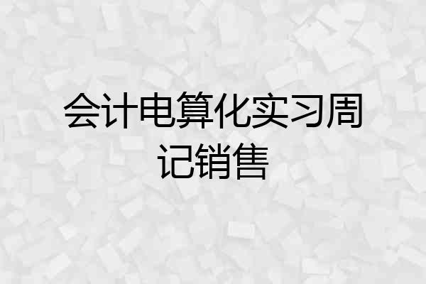 会计电算化实习周记销售