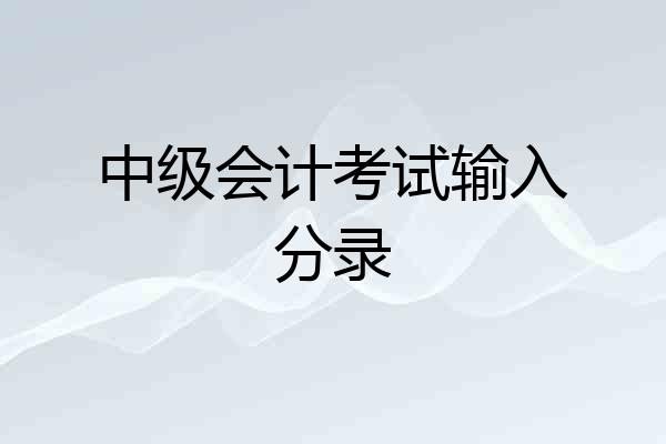 中级会计考试输入分录