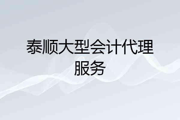 泰顺大型会计代理服务