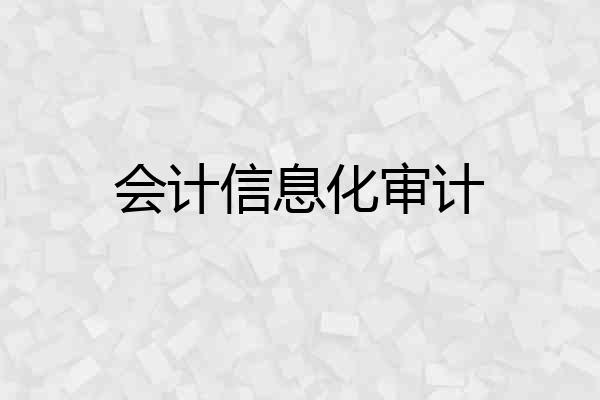会计信息化审计