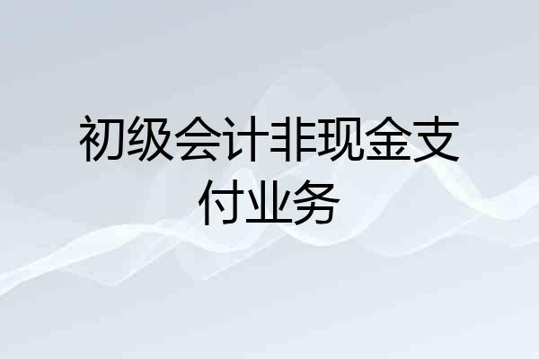 初级会计非现金支付业务