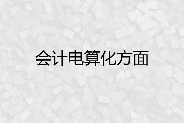 会计电算化方面