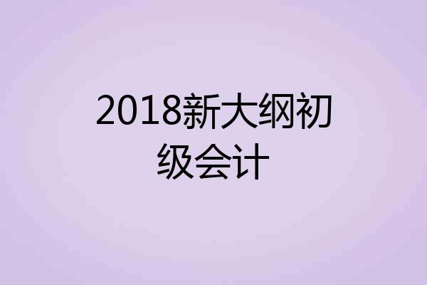 2018新大纲初级会计