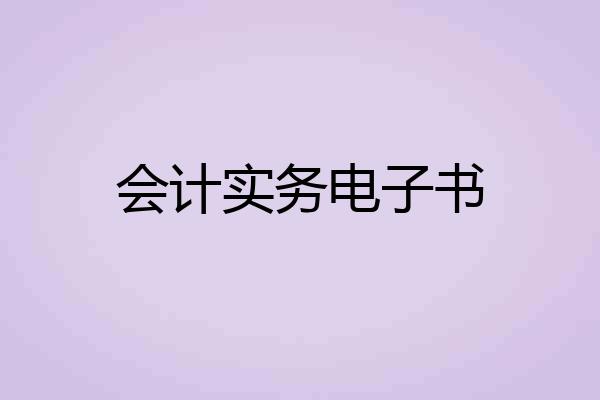 会计实务电子书