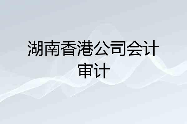 湖南香港公司会计审计