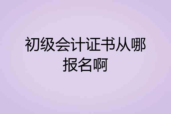 初级会计证书从哪报名啊