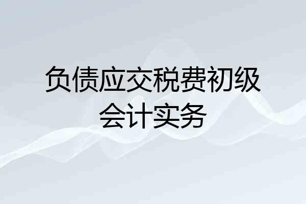 负债应交税费初级会计实务