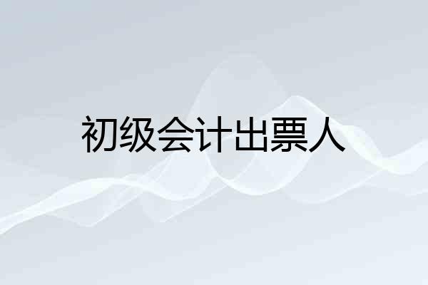 初级会计出票人
