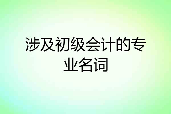 涉及初级会计的专业名词