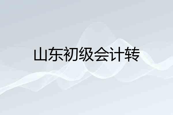 山东初级会计转
