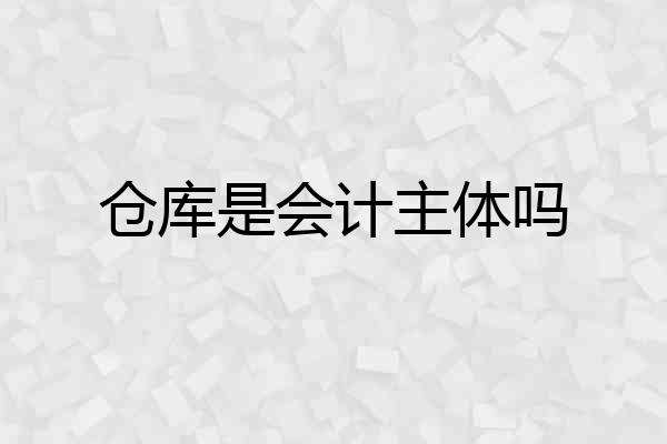 仓库是会计主体吗