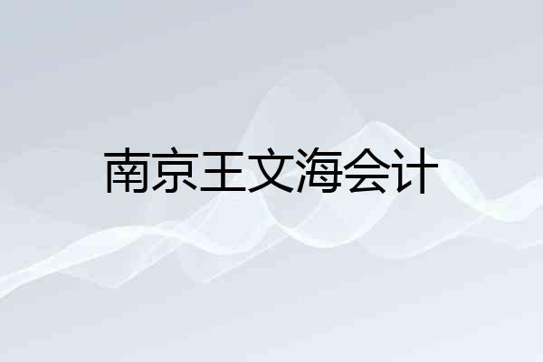 南京王文海会计