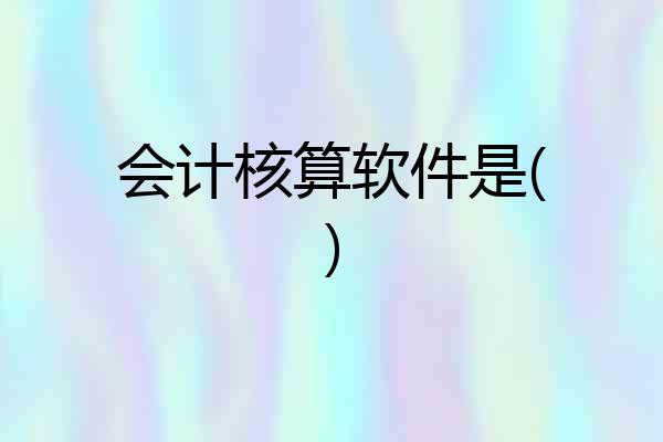 会计核算软件是()