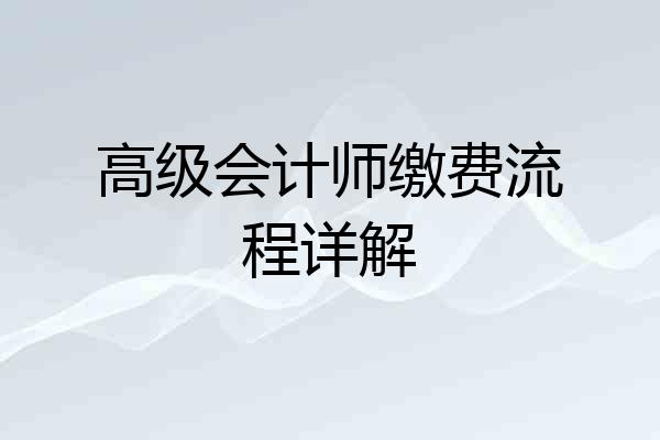 高级会计师缴费流程详解