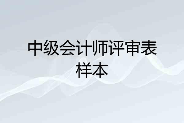 中级会计师评审表样本