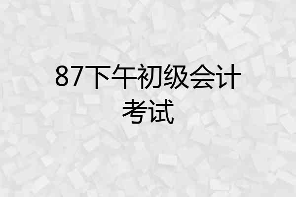 87下午初级会计考试
