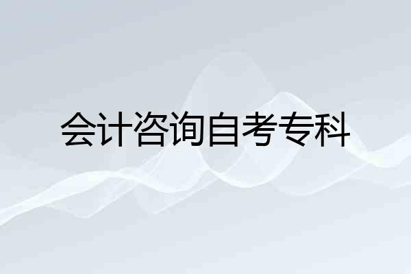 会计咨询自考专科