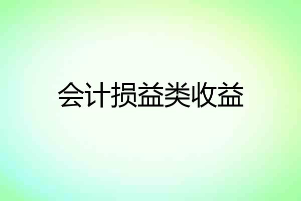 会计损益类收益