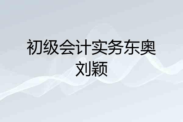 初级会计实务东奥刘颖
