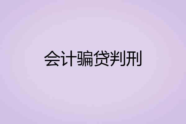会计骗贷判刑