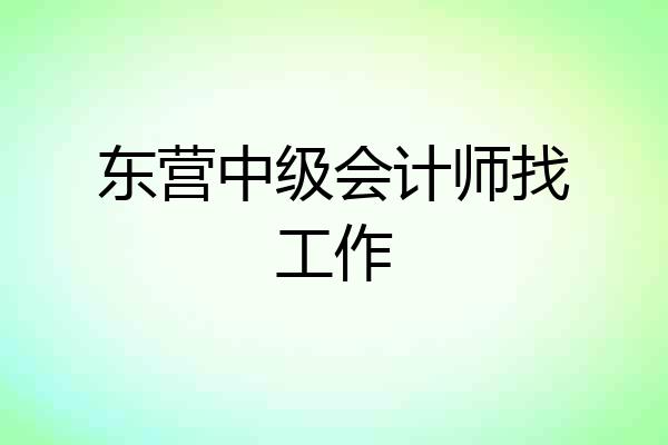 东营中级会计师找工作
