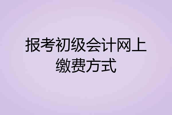 报考初级会计网上缴费方式
